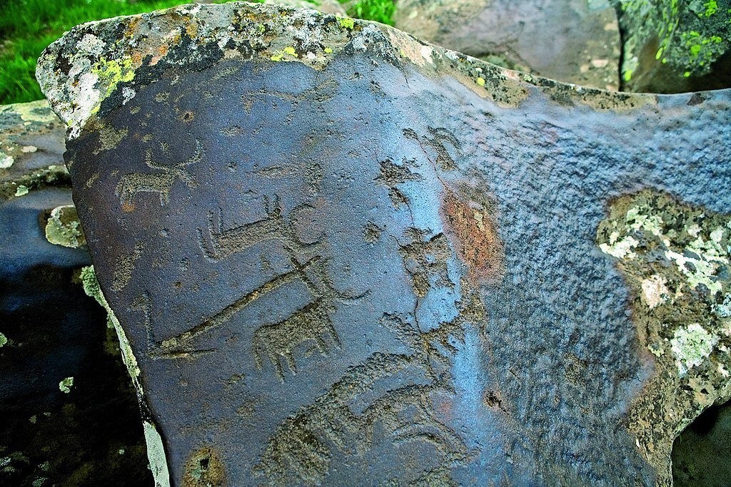 Bull Petroglyph