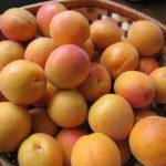 Apricots