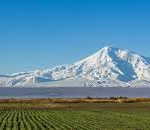 Ararat